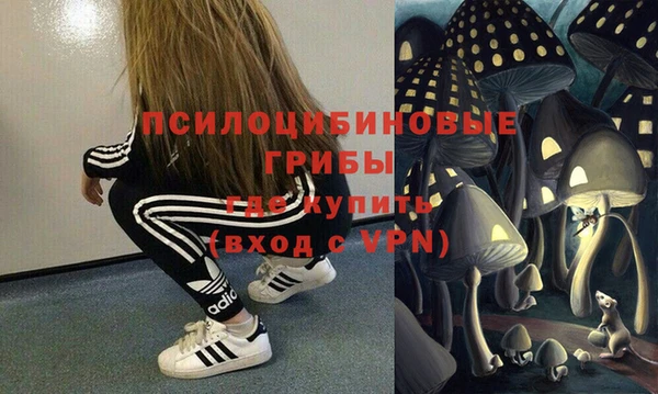 стаф Мегион