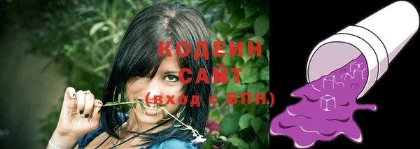 стаф Мегион