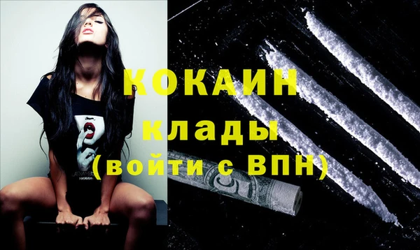 стаф Мегион