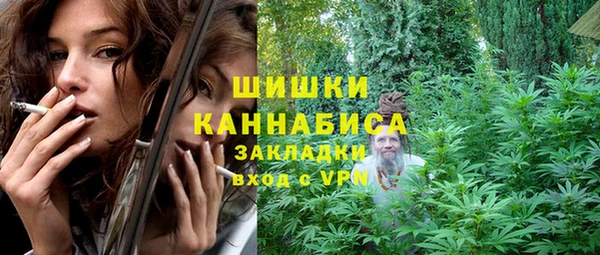 крисы Медногорск